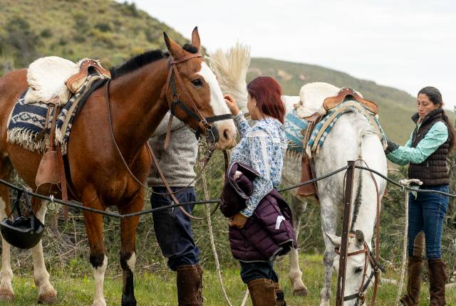CABALGATA EXPERIENCE